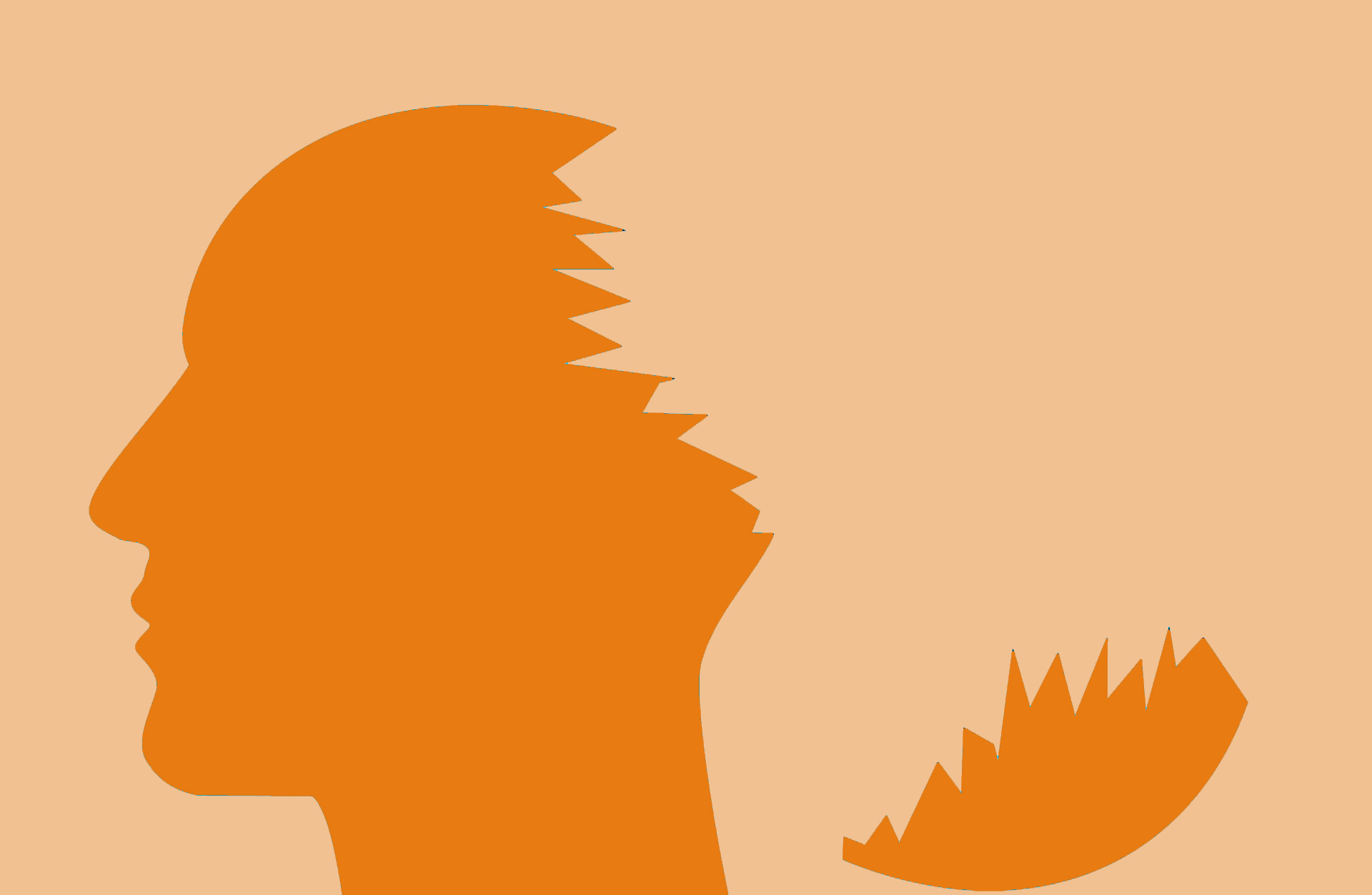 Waking The Tiger by Peter A.